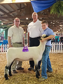 City Limits Winners