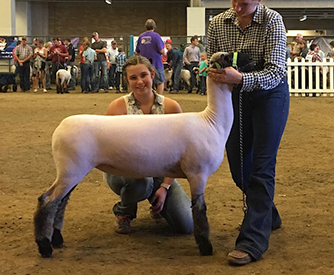 City Limits Winners