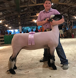 City Limits Winners