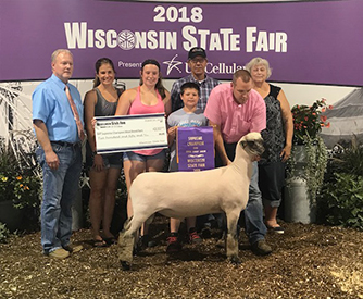 City Limits Winners