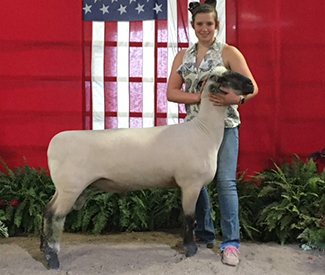 City Limits Winners