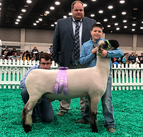 City Limits Winners