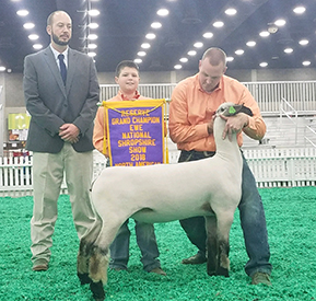 City Limits Winners