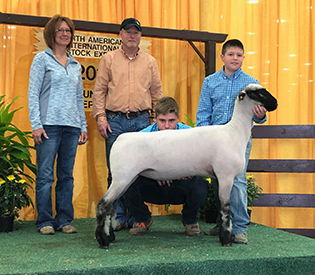 City Limits Winners