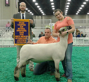 City Limits Winners
