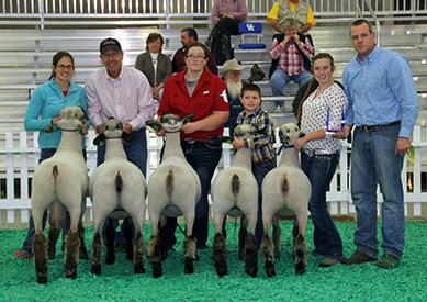 City Limits Winners
