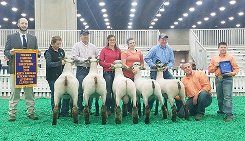 City Limits Winners