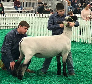 City Limits Winners