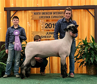 City Limits Winners