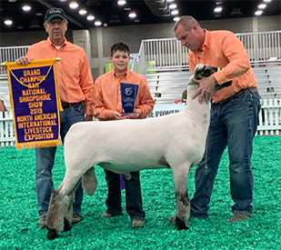 City Limits Winners