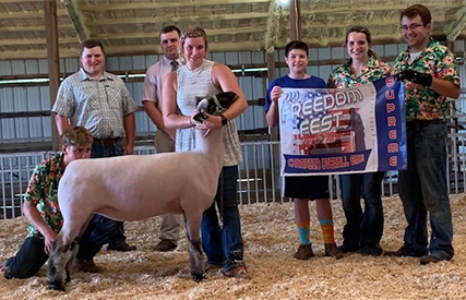 City Limits Winners