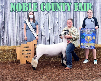 City Limits Winners