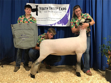 City Limits Winners