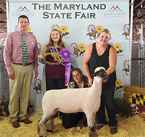 City Limits Winners
