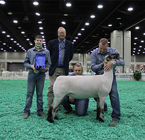 City Limits Winners