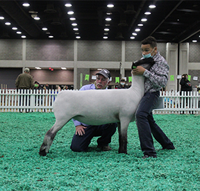 City Limits Winners