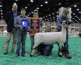 City Limits Winners