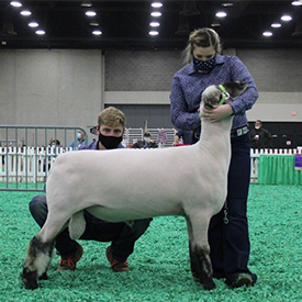 City Limits Winners