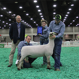 City Limits Winners