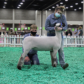 City Limits Winners