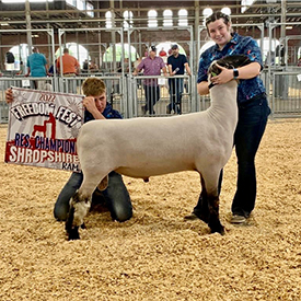 City Limits Winners